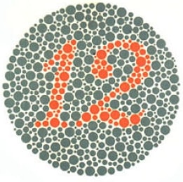 Sample Ishihara plate showing number 12