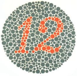 Ishihara plate example showing the number 12 - demonstration plate visible to everyone