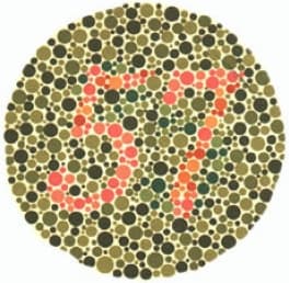 Ishihara plate example - transformation plate showing different numbers based on color vision